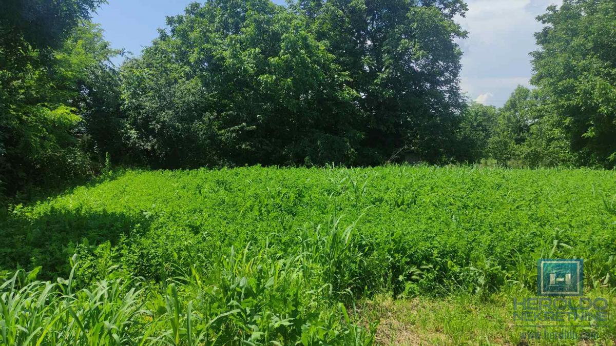 Seosko domacinstvo na 58 ari placa Ribare kod Jagodine 19