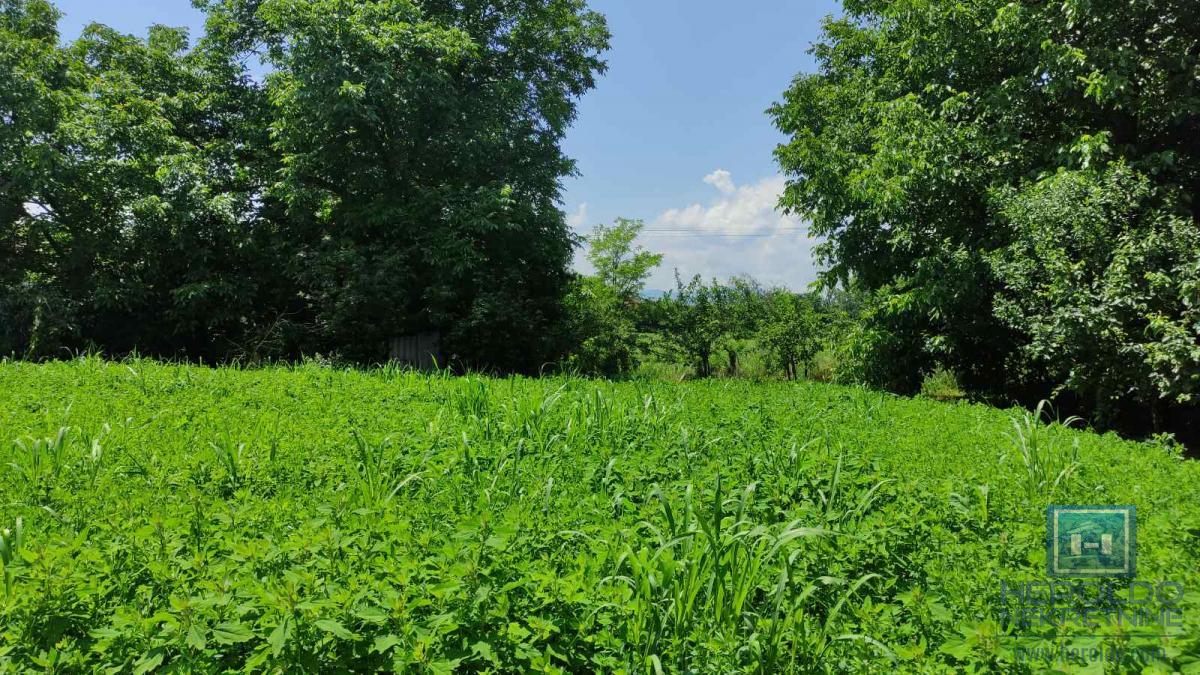 Seosko domacinstvo na 58 ari placa Ribare kod Jagodine 20