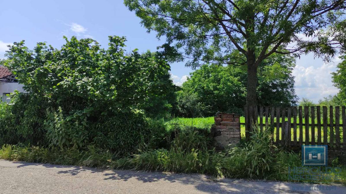 Seosko domacinstvo na 58 ari placa Ribare kod Jagodine 22