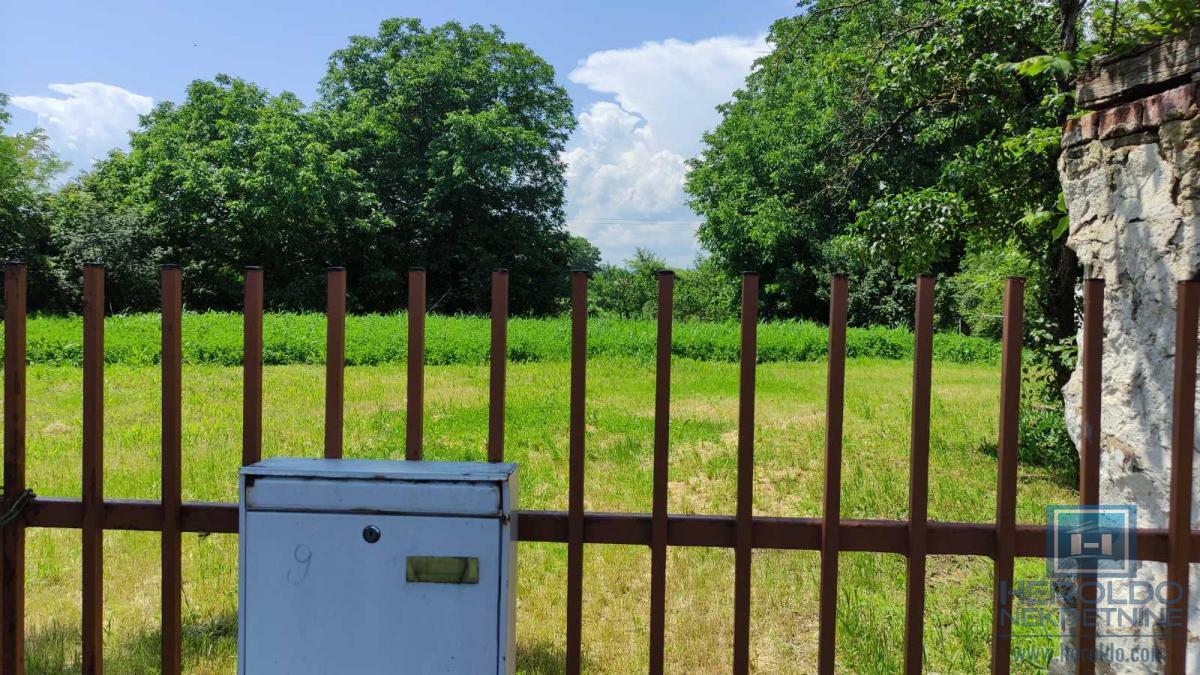 Seosko domacinstvo na 58 ari placa Ribare kod Jagodine 23