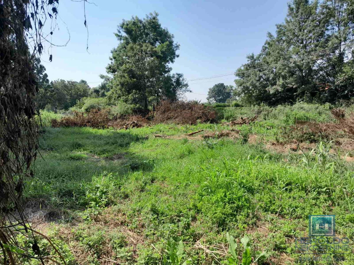 Seosko domaćinstvo u Glogovcu 20