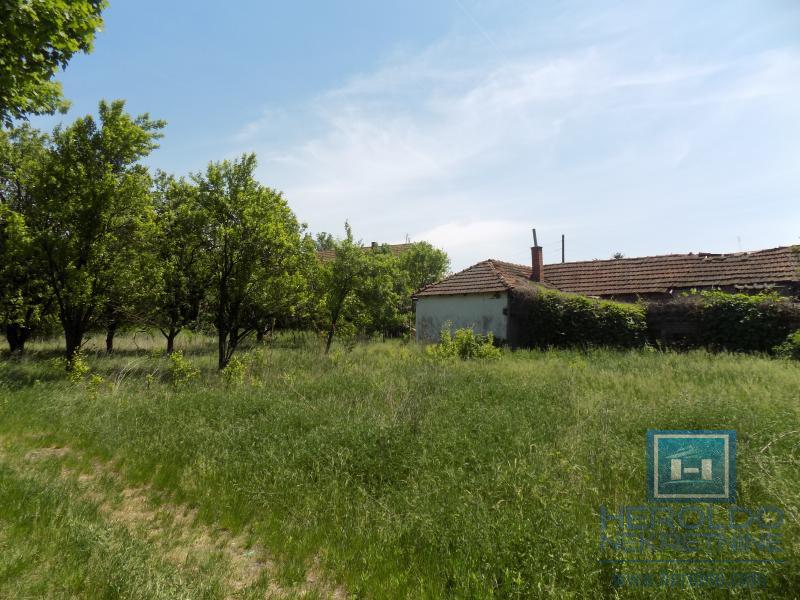 Stara kuća za adaptaciju 4