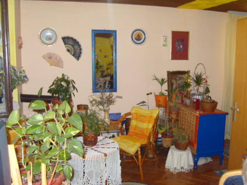 Useljiva kuća sa podrumom 1