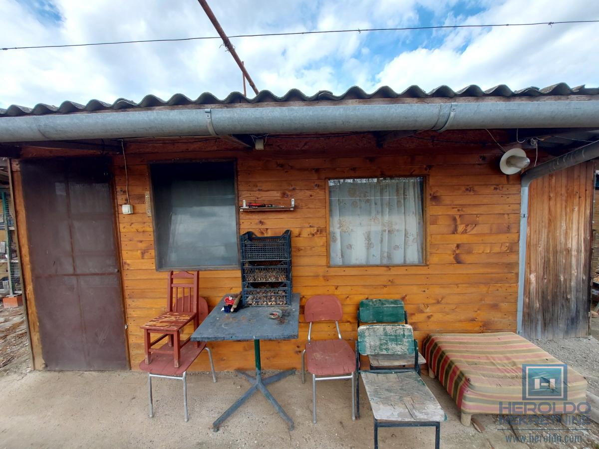 Veliki, lep plac sa objektom od 30m2 i 186 lešnika 10