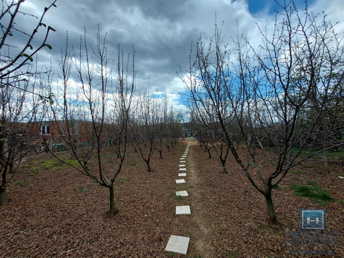 Veliki, lep plac sa objektom od 30m2 i 186 lešnika 12