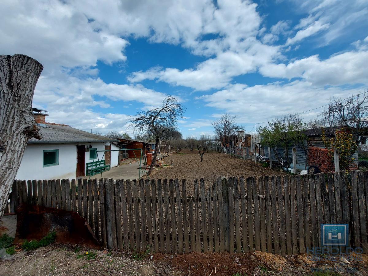 Veliki, lep plac sa objektom od 30m2 i 186 lešnika 2