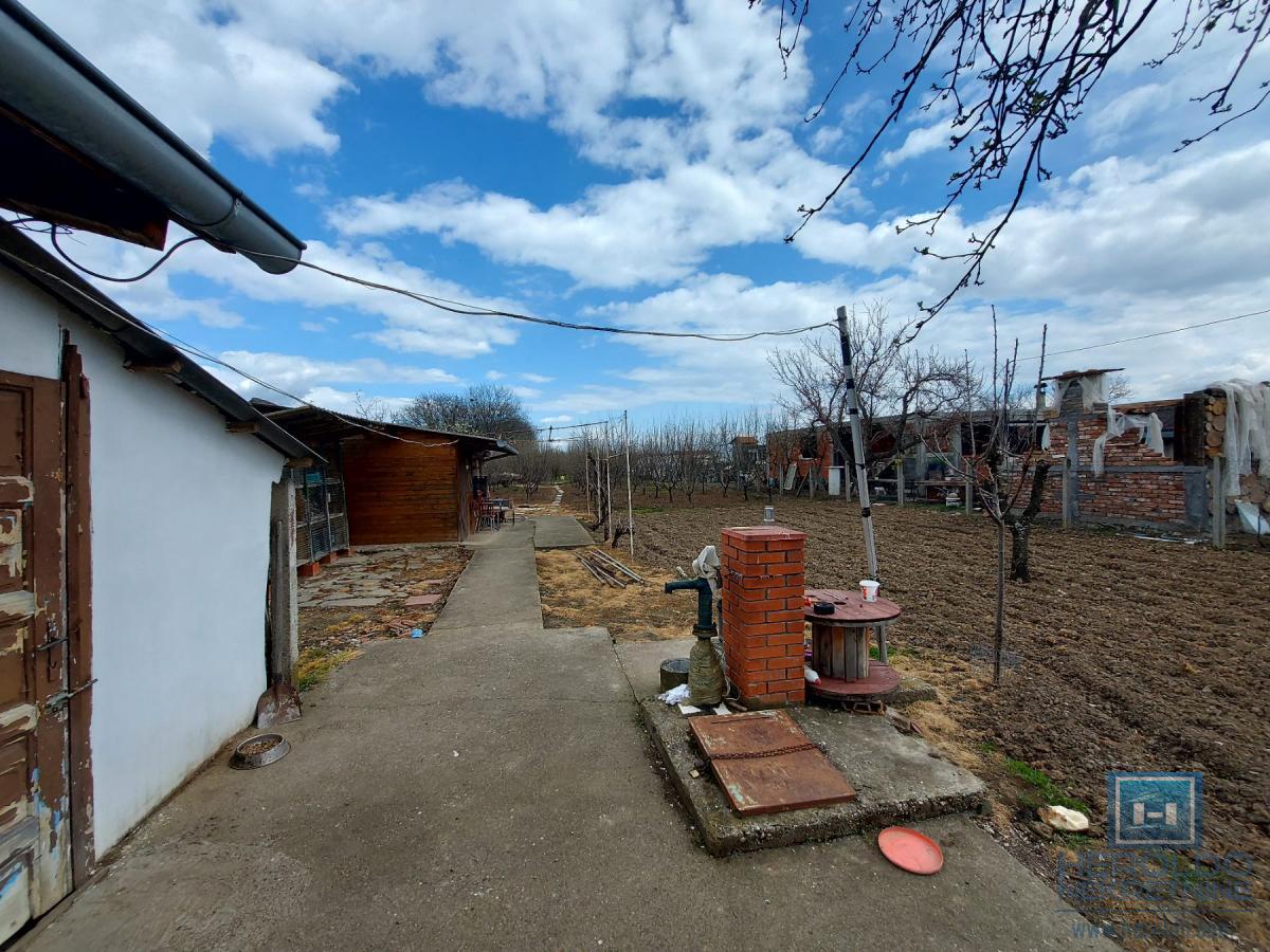 Veliki, lep plac sa objektom od 30m2 i 186 lešnika 3