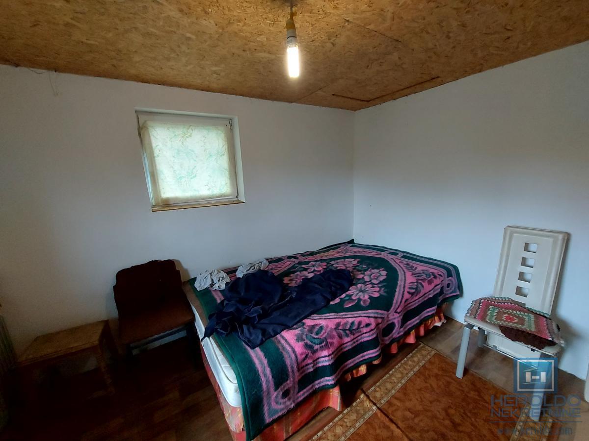 Veliki, lep plac sa objektom od 30m2 i 186 lešnika 6