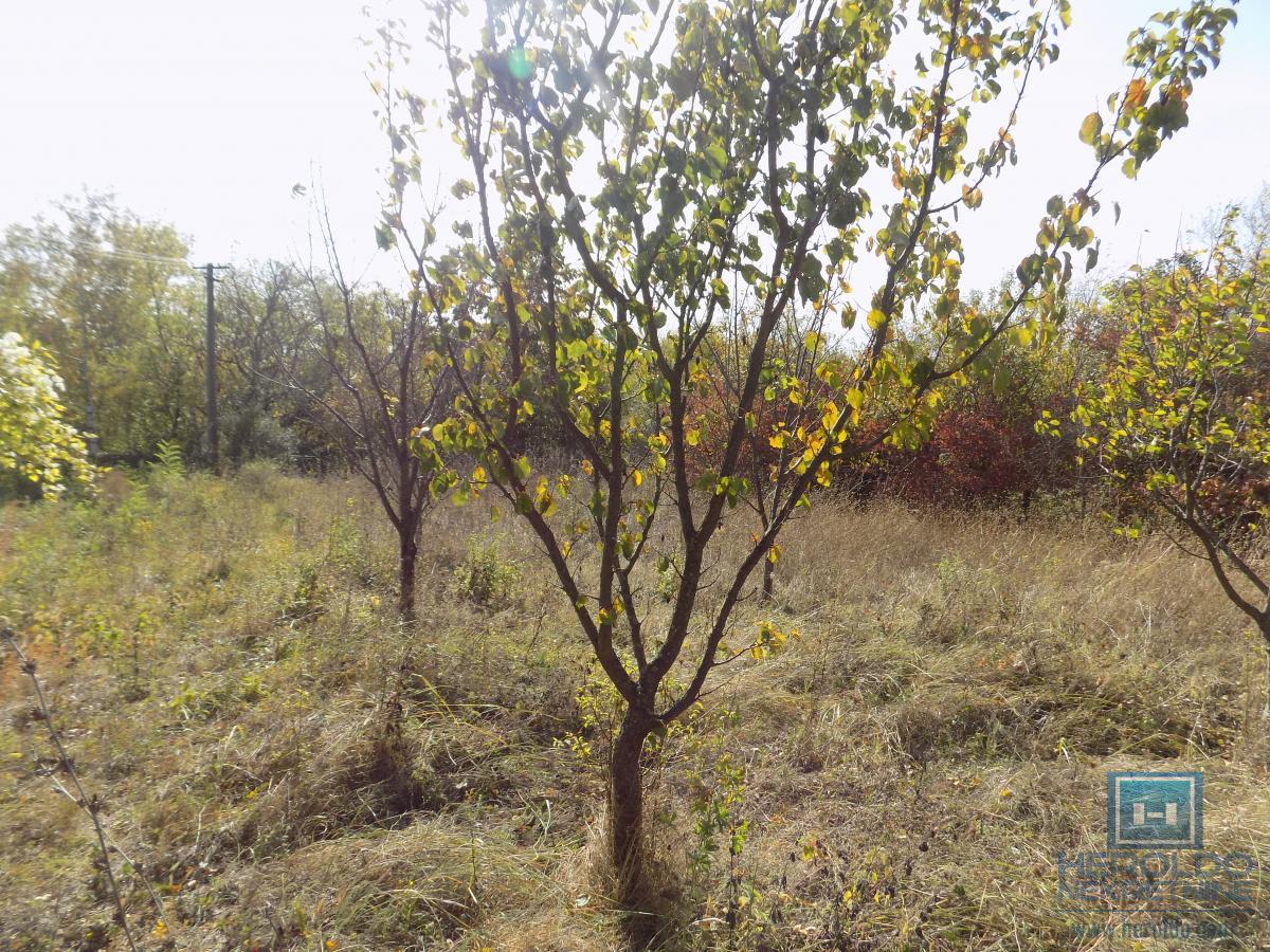Vikend kuća na prodaju sa većim placem 2