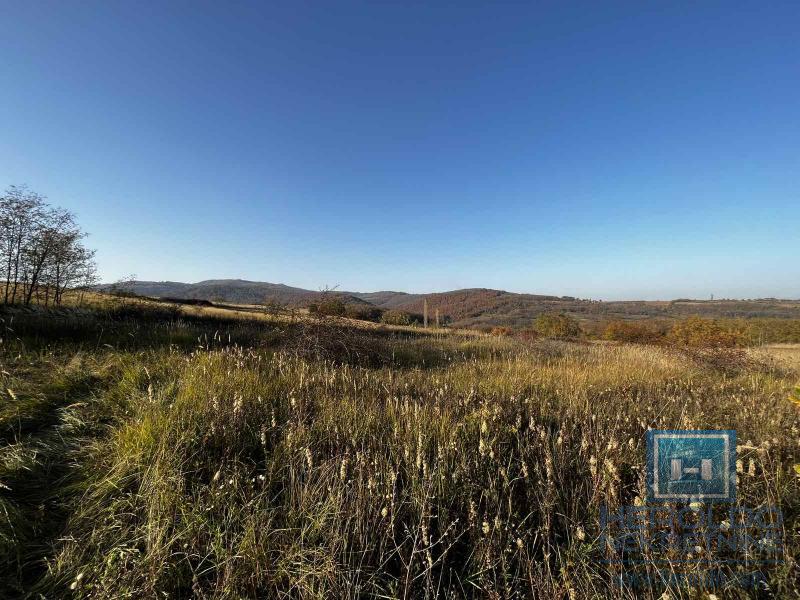 vikendica na 341,21 ar placa 21