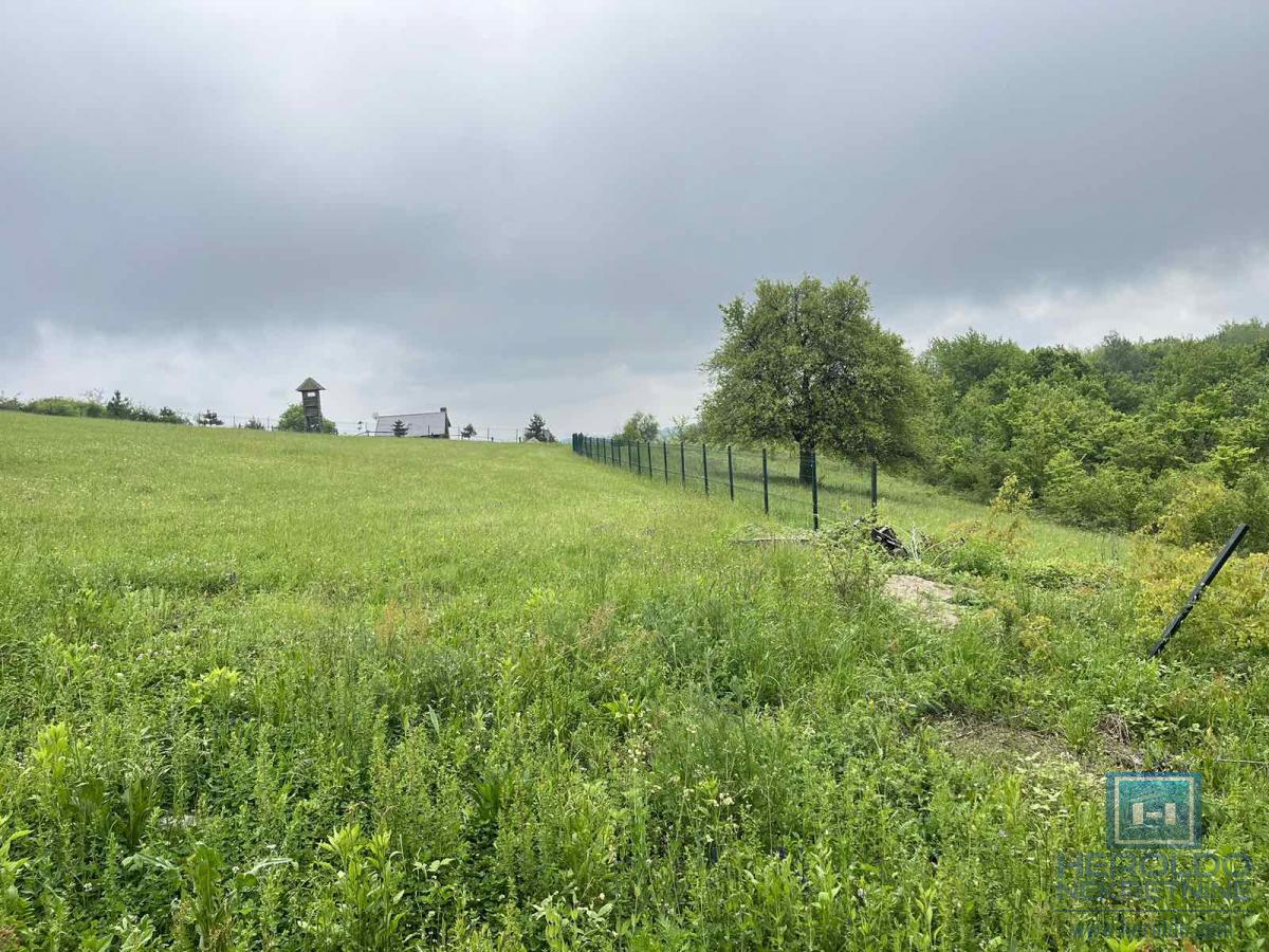 Vikendica na planini Crni Vrh 6