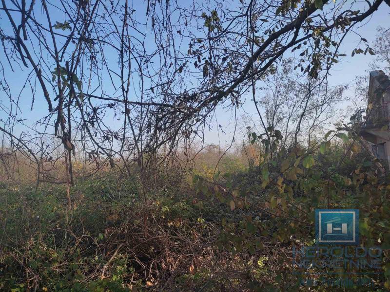 Zemljište sa starom kućom 4