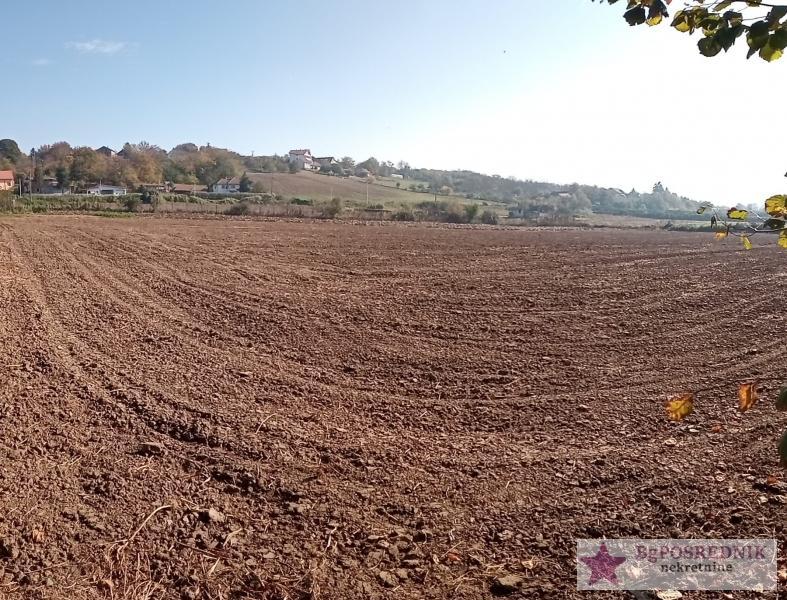 Čukarica, Umka, Dućevac, 60 ari 3