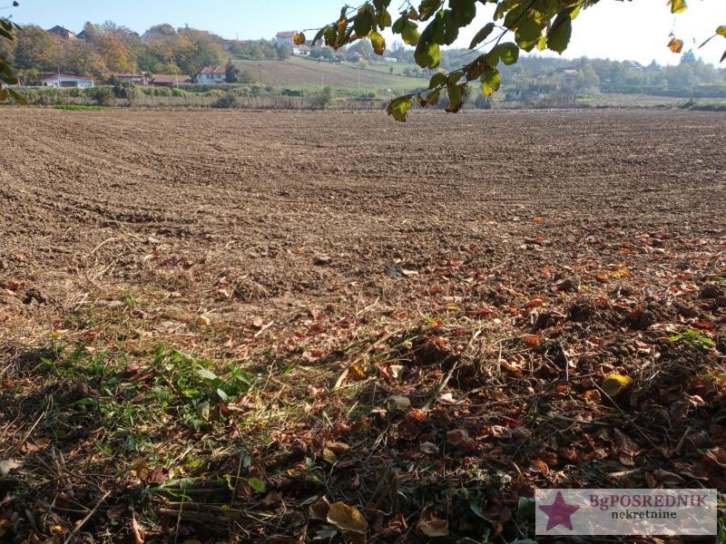 Čukarica, Umka, Dućevac, 60 ari 4