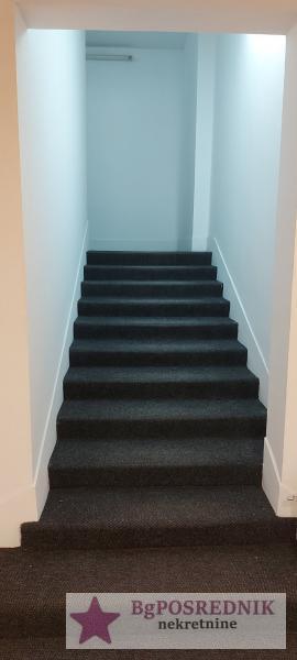 Palilula, TC Zira, Ruzveltova, 296m2 9