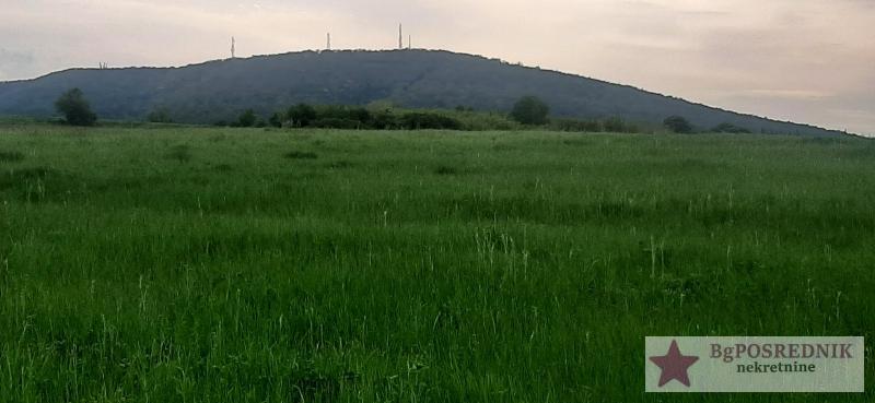 Sopot, Kosmaj, Nemenikuće, 37ari 1