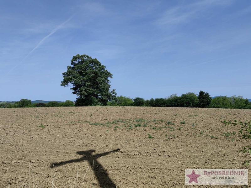 Voždovac, Avala-Koviona, 129.80ari 13