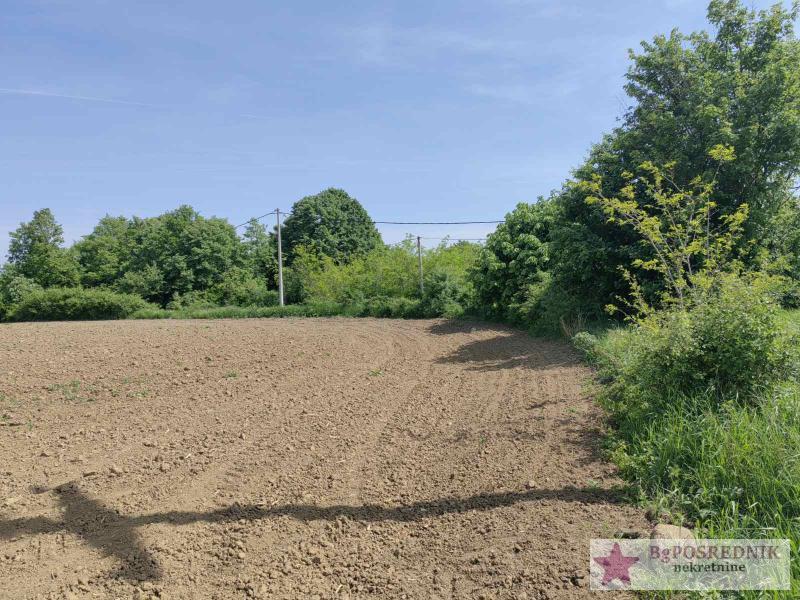 Voždovac, Avala-Koviona, 129.80ari 4