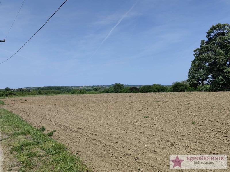 Voždovac, Avala-Koviona, 129.80ari 7