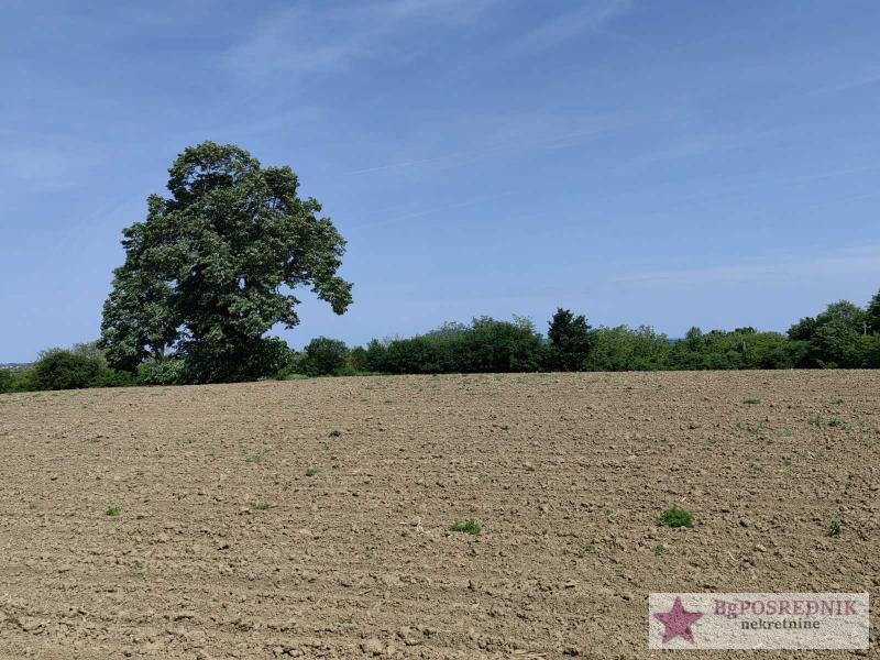 Voždovac, Avala-Koviona, 129.80ari 8