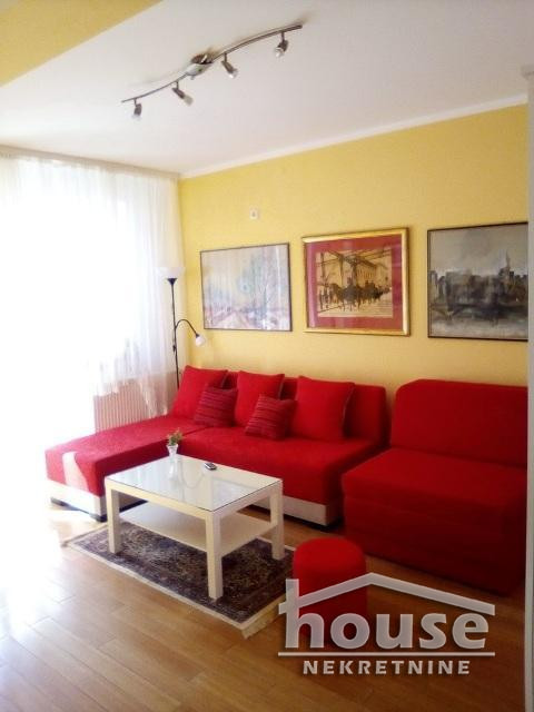 Stanovi,NOVI SAD,NOVA DETELINARA 28m2,300€ , ID: 9112180 3