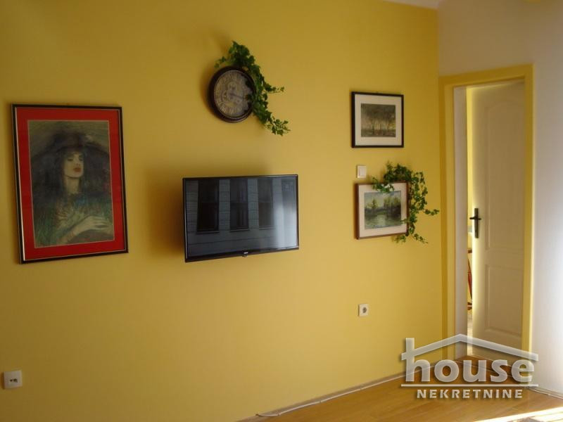 Stanovi,NOVI SAD,NOVA DETELINARA 28m2,300€ , ID: 9112180 5