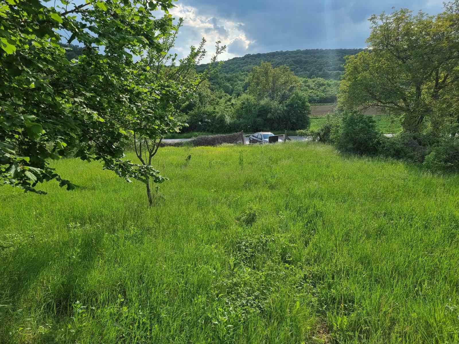 Prodajem plac i kucu u Svilosu 3