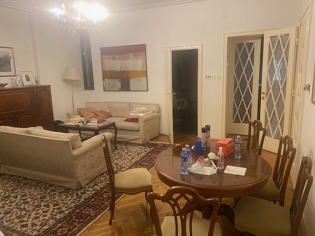 Trosoban salonski stan na Vracaru 2