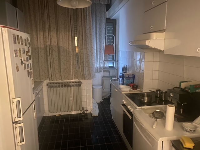 Trosoban salonski stan na Vracaru 4