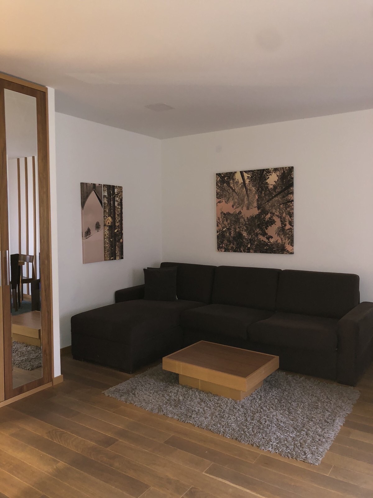 Vila Borova Zlatibor namesten stan 2