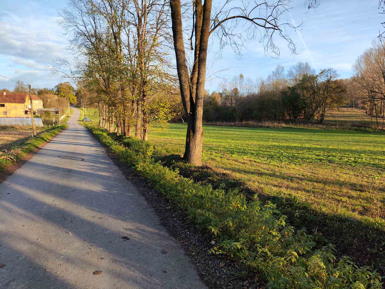 Placevi Barajevo od 8 74ara parcelisani 1 1 2