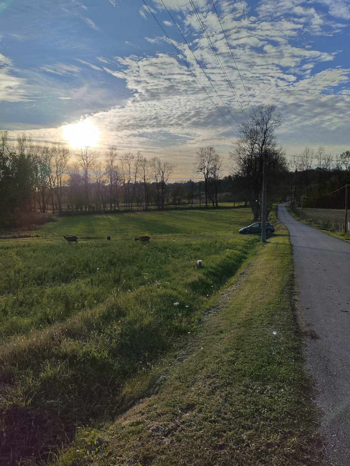 Placevi Barajevo od 8 74ara parcelisani 1 1 3