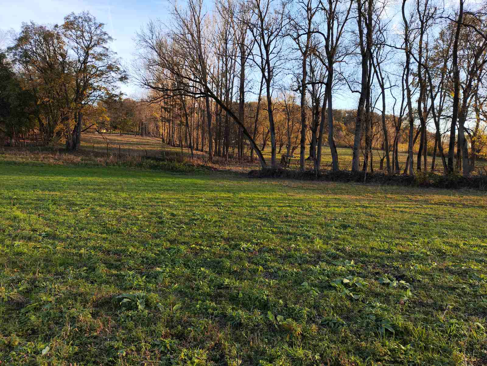 Placevi Barajevo od 8 74ara parcelisani 1 1 5