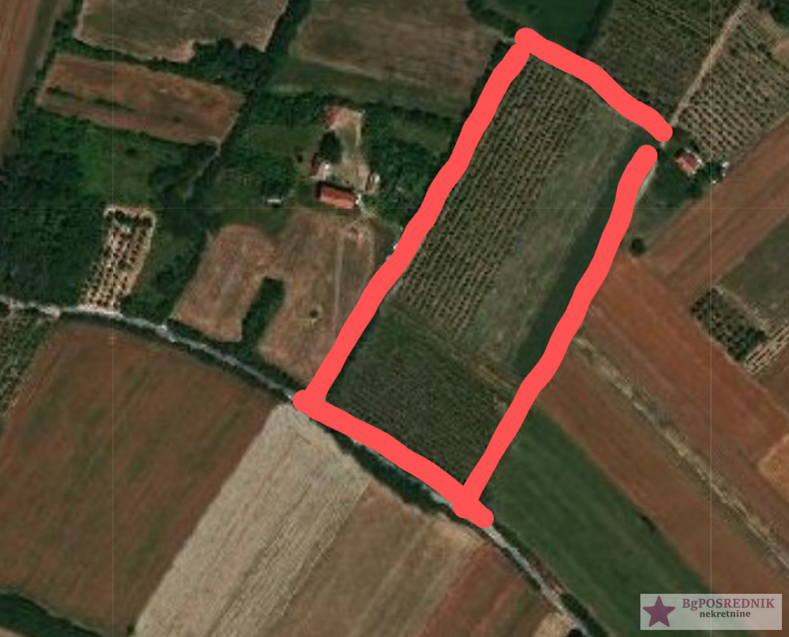 Odlična investicija za vikend naselje, Mladenovac, Mala Vrbica 6