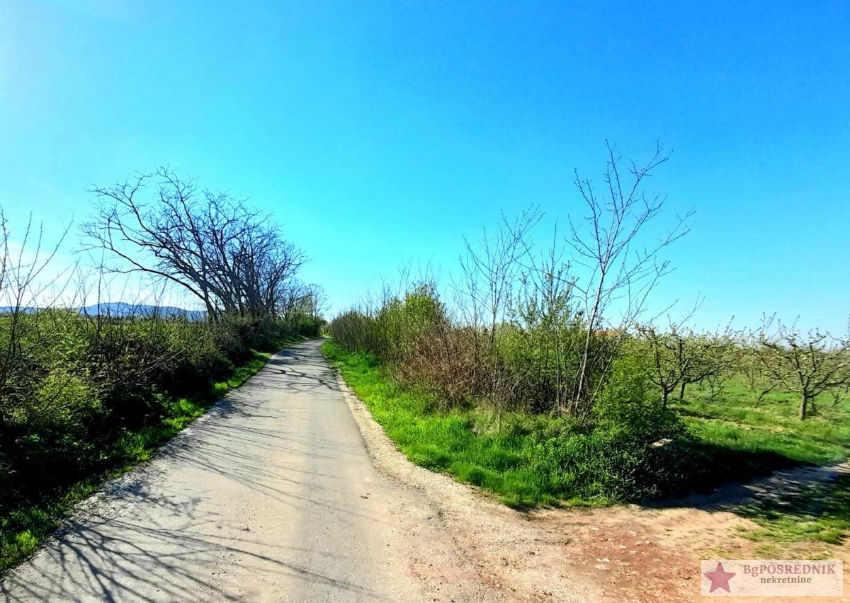 Odlična investicija za vikend naselje, Mladenovac, Mala Vrbica 4