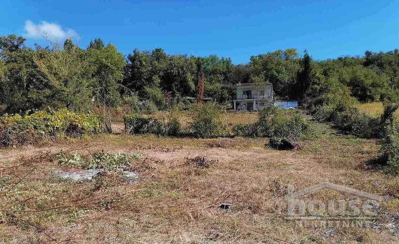 Plac,SREMSKI KARLOVCI,BANSTOL4200m2,  67000€ , ID: 7081069 4