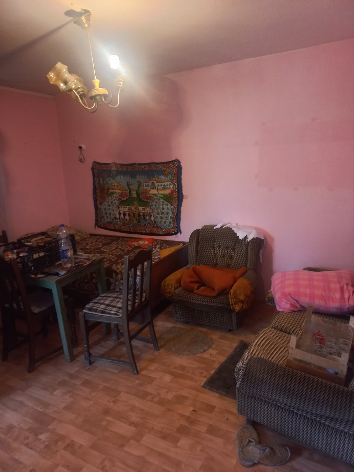 Vikendica hladnjaca i 57ari pod vocem Bela Crkva 4