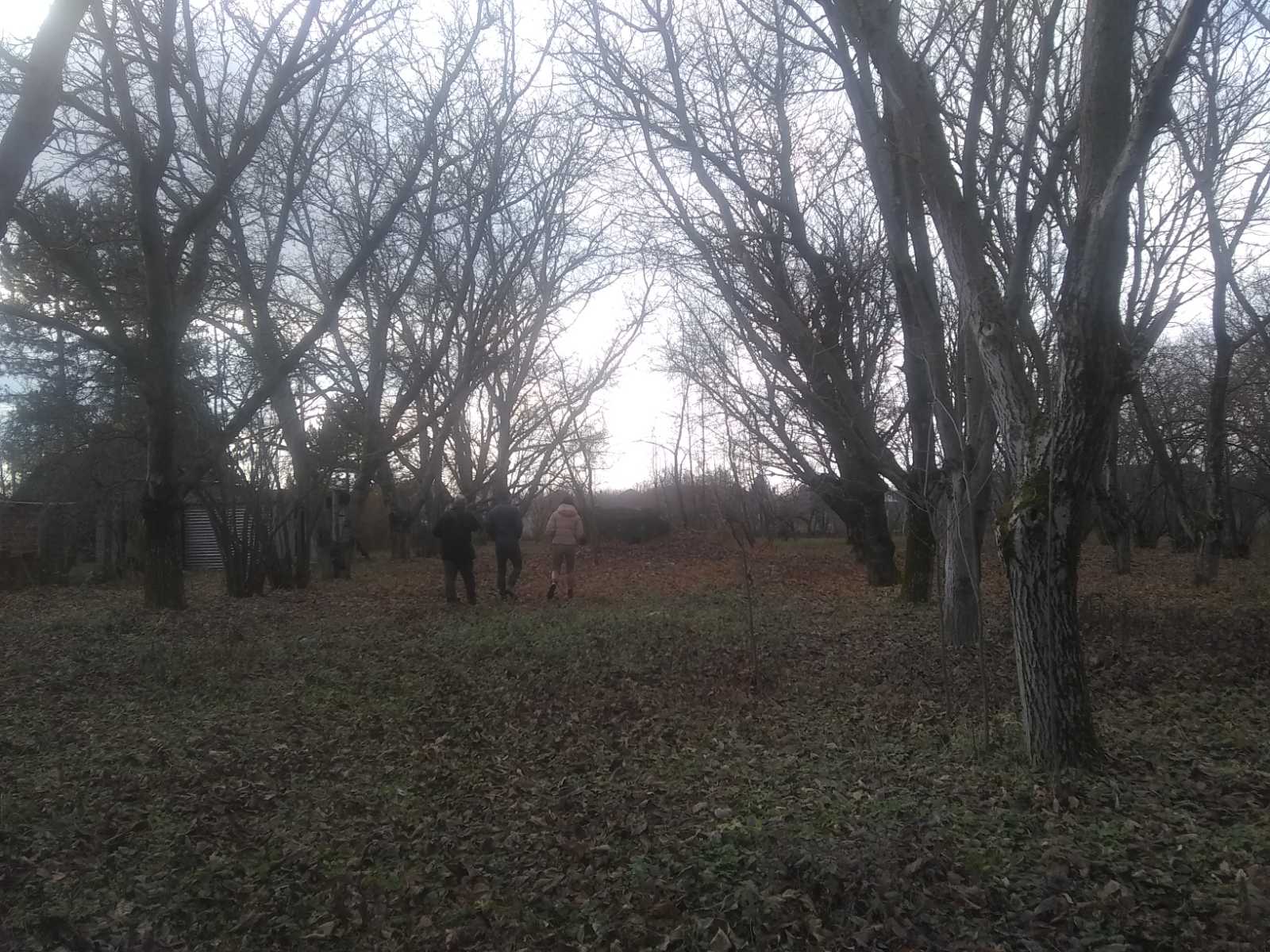 Vocnjak gradjevinsko zemljiste iza Belog Narcisa 2