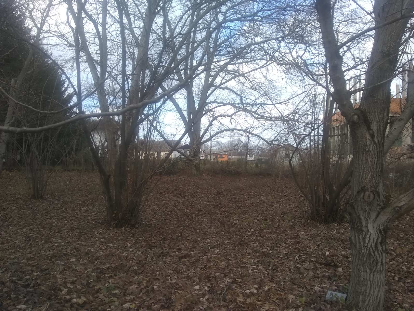 Vocnjak gradjevinsko zemljiste iza Belog Narcisa 3