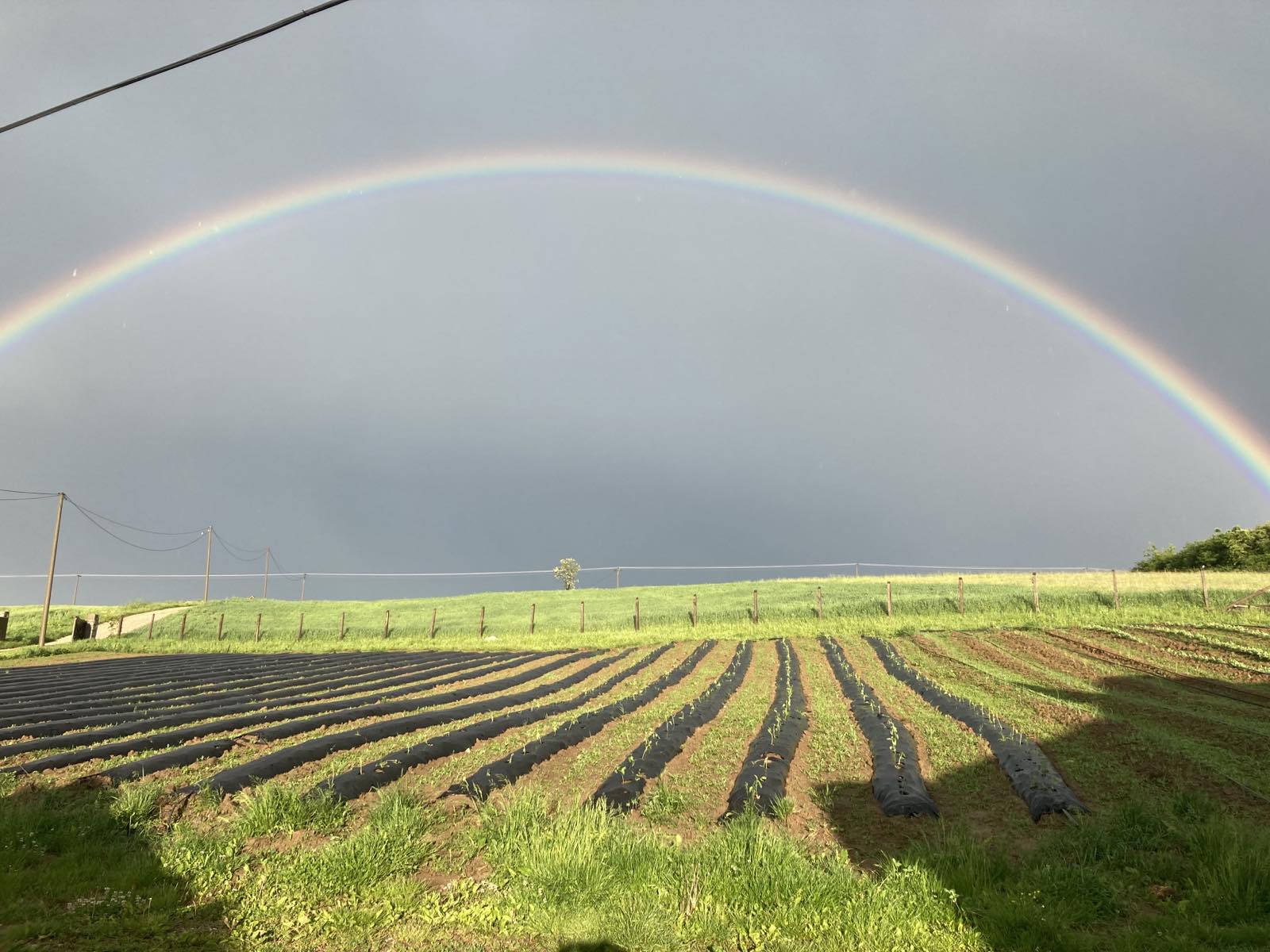 Šumadijsko domaćinstvo 1
