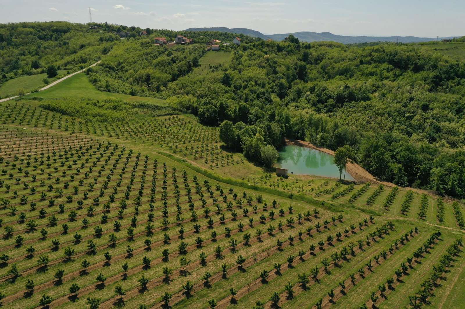 Šumadijsko domaćinstvo 3