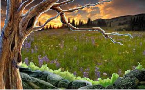 Zemljište pod Kosmajem 1