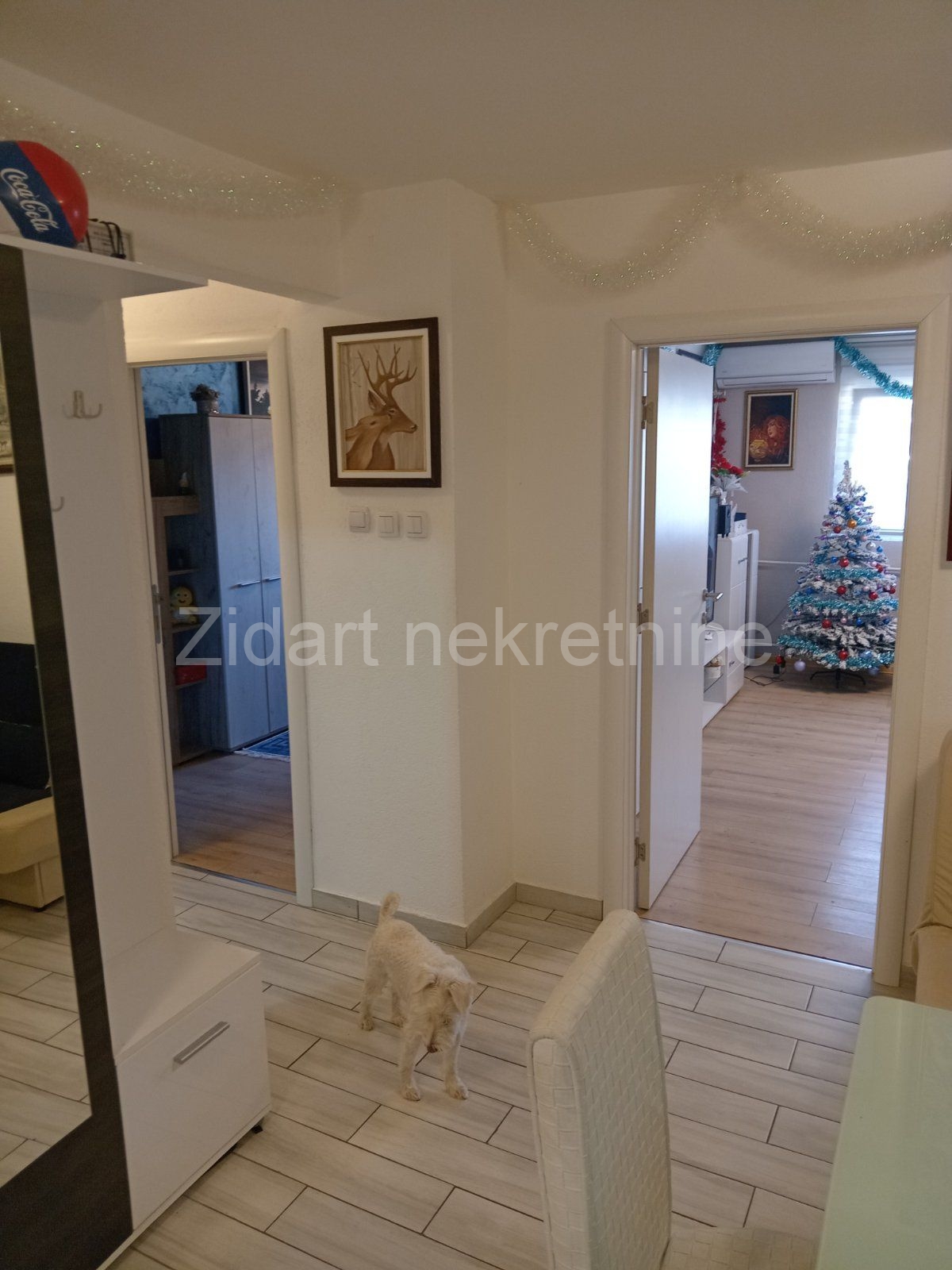 Mladenovac, centar, Janka Katića, prodaja stana 13