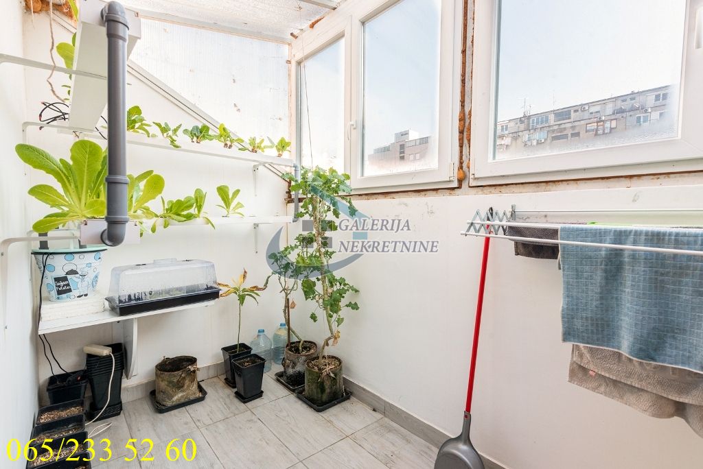 Palilula  Botanička bašta   Šajkaška 103m2 5