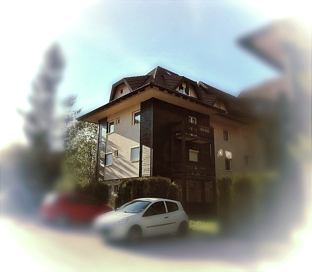 Zlatibor  par minuta od jezera 6