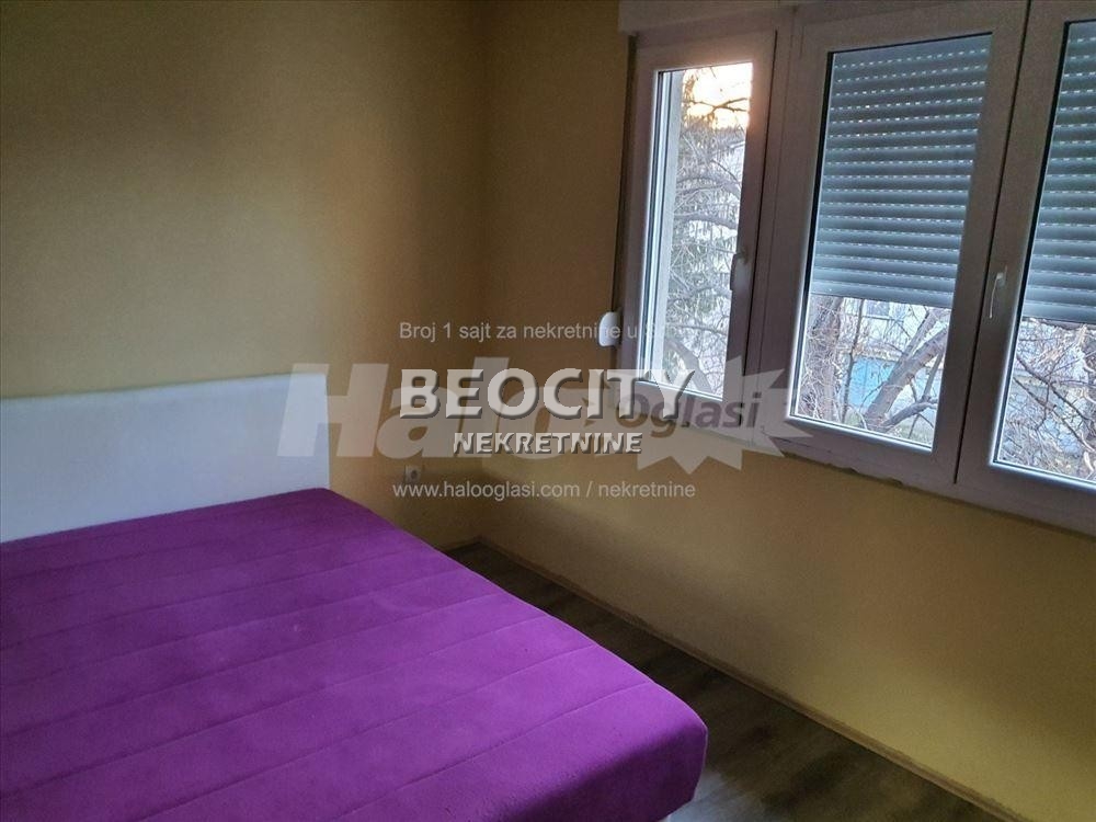 Petosoban stan, 100 m2, Palilula, Olge Jovičić ID: 106507 11