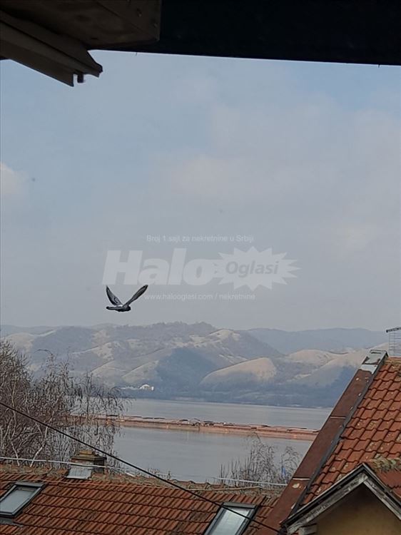 Veliko Gradište 4