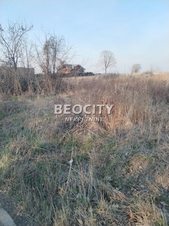 Plac, Sremčica, Moštanička ID: 106946 3