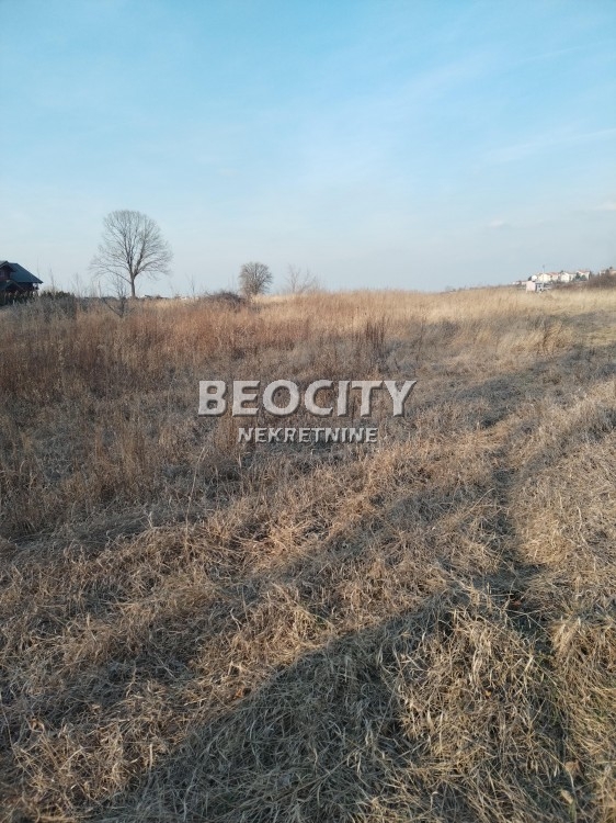 Plac, Sremčica, Moštanička ID: 106946 1