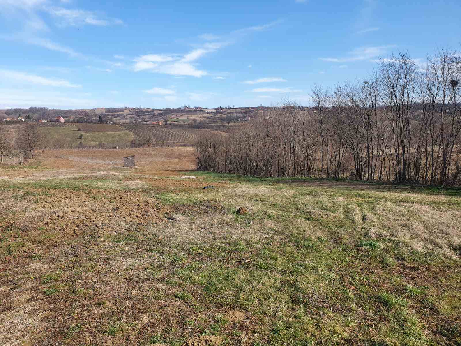 Topola Gornja Šatornja  njiva 353 ara 2